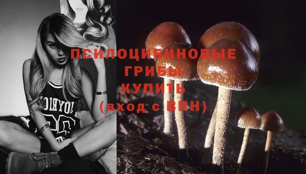 2c-b Балабаново