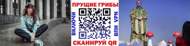 mega tor Суджа Галлюциногенные грибы мицелий